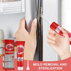 Last Day Household Mold Removal Gel